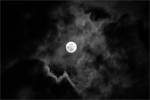 The Moon
