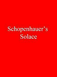 Schopenhauer's Solace by Saintilan, Paul