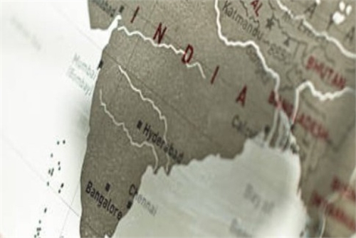 New Light on India's Plight by Murthy, BS,