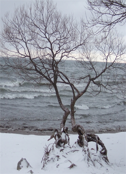 Author's photo