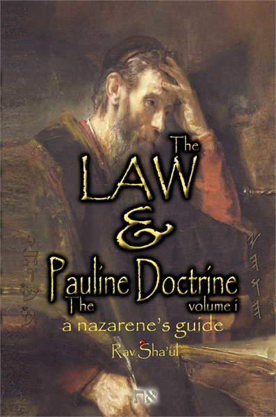 The Law & The Pauline Doctrine Volume 2:... by Shaul, Rav