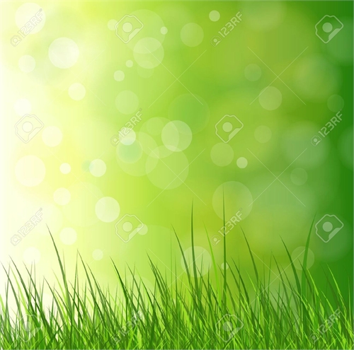 English Skills Compilation In Tables by Osman, Tamer